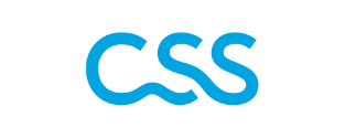 CSS 313x125