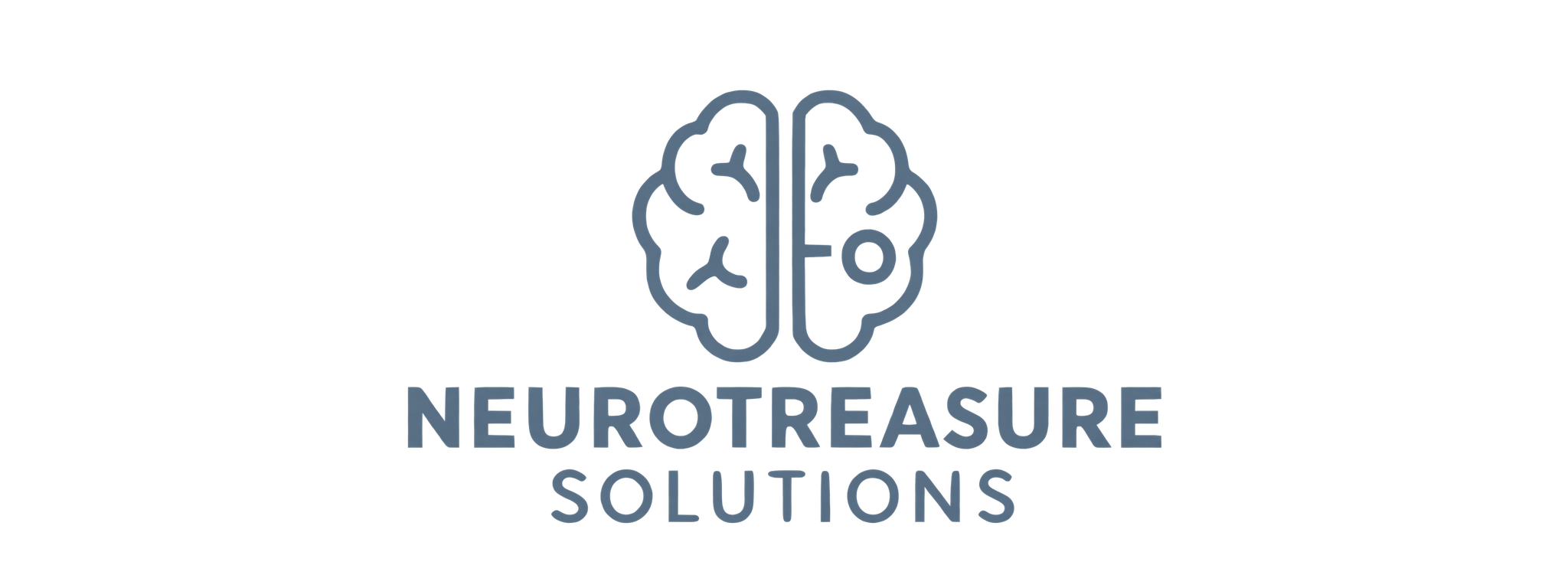NeuroTreasure Solutions Logo